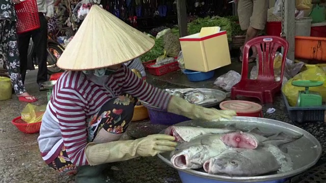 在街市上卖鱼的女人视频素材