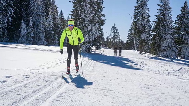 在一个阳光明媚的冬日越野滑雪视频素材