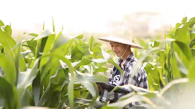 在农业领域学习生物学的年轻学生视频下载