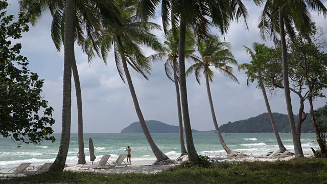 在Sao Beach的棕榈树视频素材