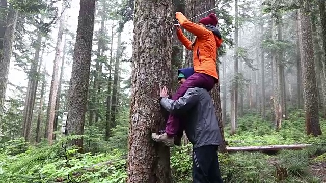 女孩野营旅行视频下载