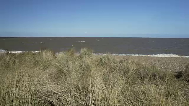 眺望大海，沙滩上的草地。视频素材