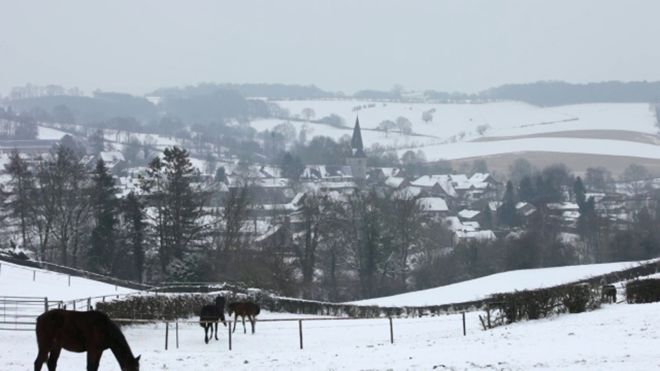 荷兰，Noorbeek，雪景村庄全景视频下载