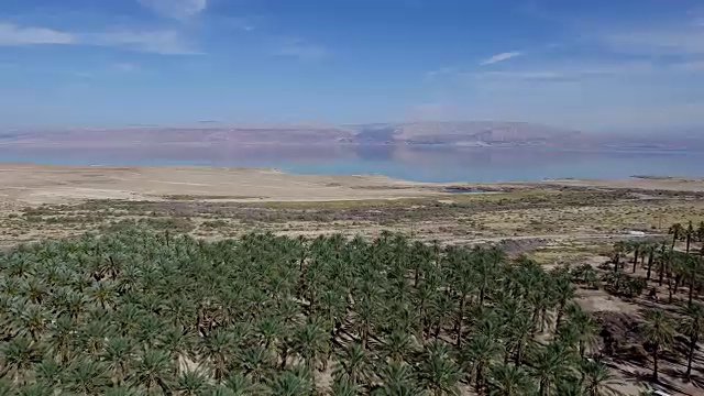 伊斯雷尔，死海和棕榈树的鸟瞰图视频素材