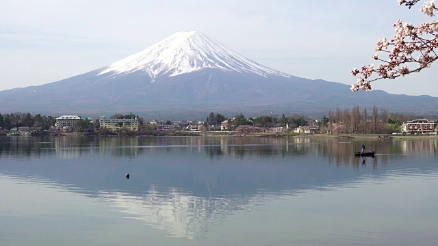 日本富士山上盛开的樱花视频素材