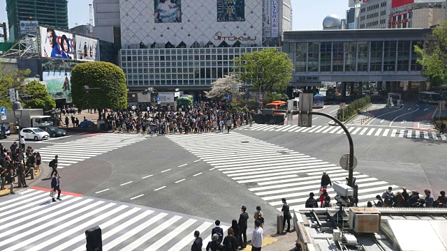 涉谷人行横道视频素材