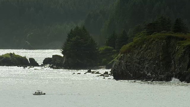 一艘摩托艇在阿拉斯加科迪亚克海岸附近的水域航行视频素材