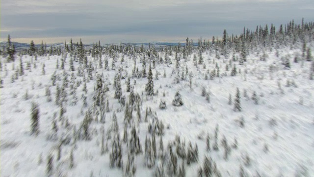 育空河蜿蜒穿过白雪覆盖的山谷，俯瞰着加拿大育空海岸。视频素材