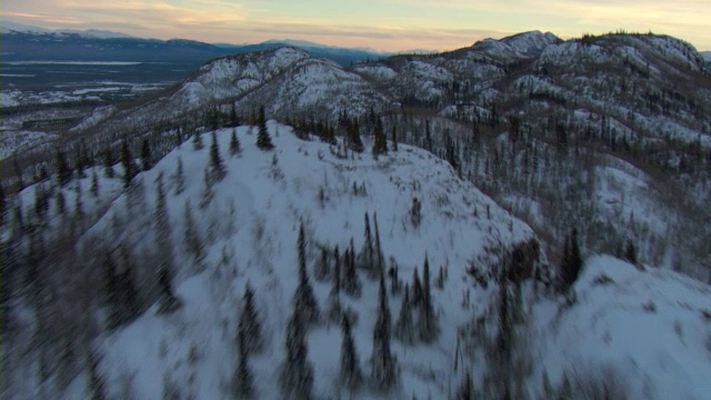 白雪覆盖的育空山脉上生长着一片常绿森林。视频素材