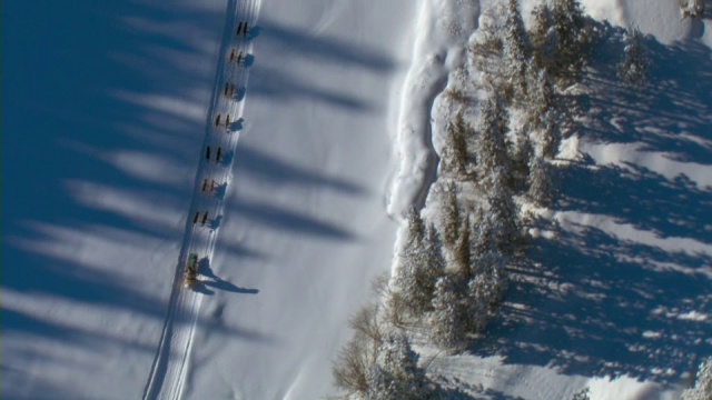 加拿大育空地区举行的狗拉雪橇比赛中，一队雪橇犬和一名雪橇犬在冬季进行比赛。视频素材