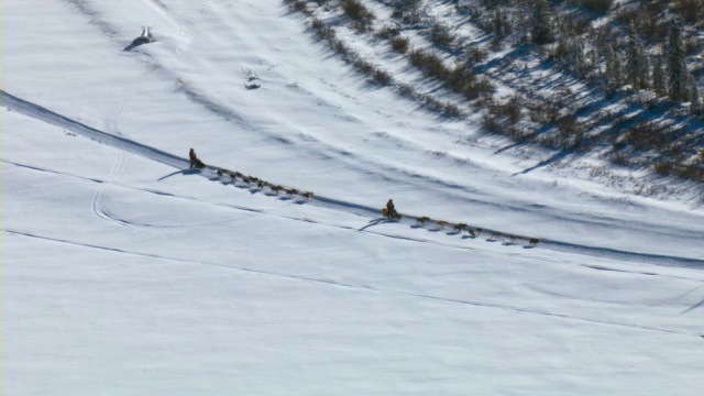 两支狗拉雪橇队在加拿大育空地区举行的狗拉雪橇比赛中穿越冬季景观。视频素材