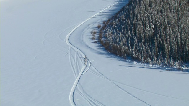 在加拿大的育空探险期间，一只狗拉雪橇队在一条冰冻的河流上比赛。视频素材