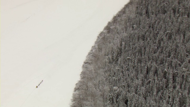 育空探险队的狗拉雪橇队穿过一条结冰的河流。视频素材