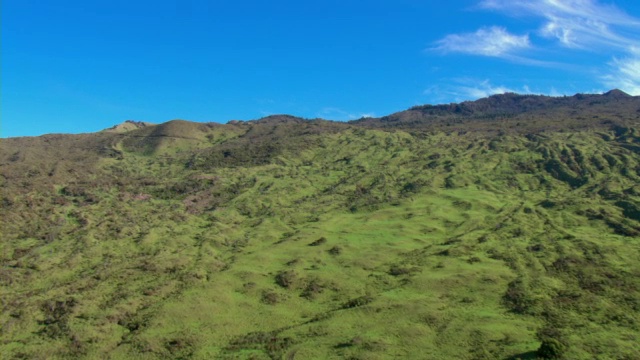 植物生长在夏威夷毛伊岛的一座山上。视频素材