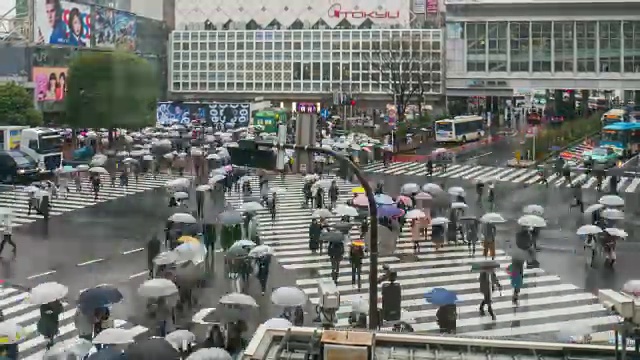 涉谷雨日，人们在涉谷十字路口行走视频素材