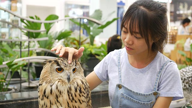 亚洲女孩玩大猫头鹰视频素材