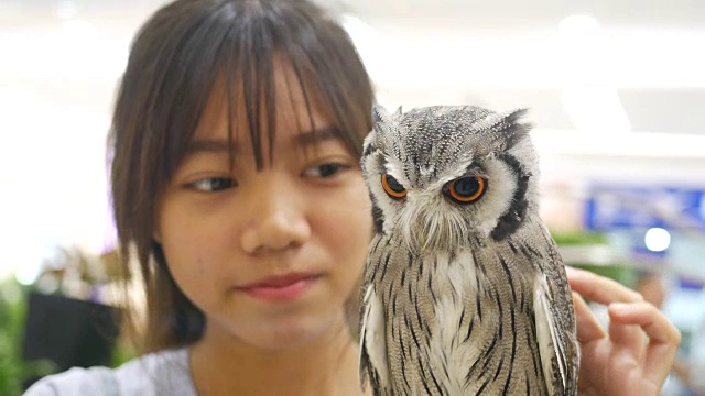 亚洲女孩玩大猫头鹰视频素材