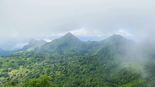 有雾和阳光的热带雨林视频素材