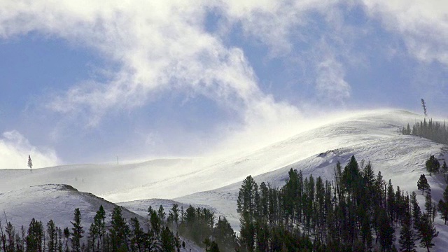 雪花飘飘，黄石国家公园，冬天视频素材