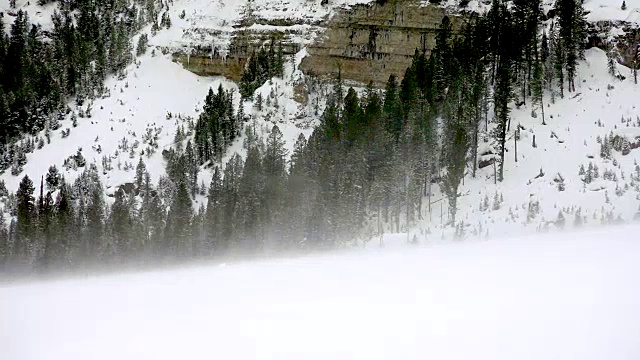 雪花飘飘，黄石国家公园，冬天视频素材