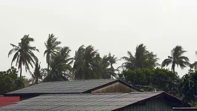 热带倾盆大雨视频素材