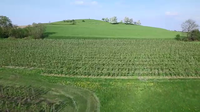 康斯坦斯湖景观鸟瞰图视频素材