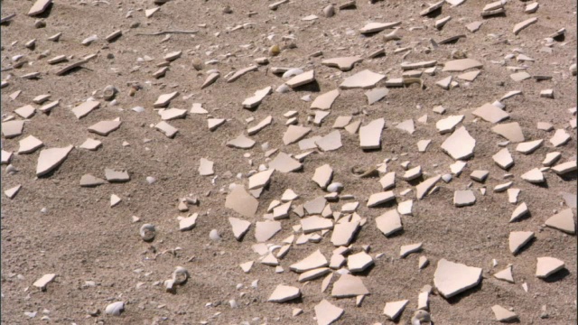 马达加斯加圣玛丽角灭绝象鸟(大象鸟)的蛋壳碎片视频素材