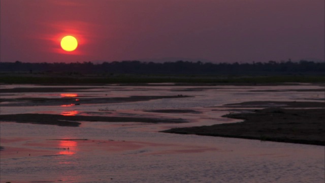 马达加斯加，夕阳下潺潺的河水视频素材