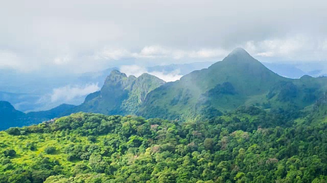 雾和云在雨林树山顶视频素材