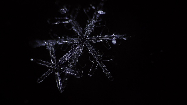 美丽的雪花是由树枝消失的时间视频素材