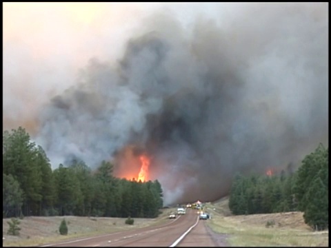 空气中弥漫着森林大火产生的浓烟。视频素材