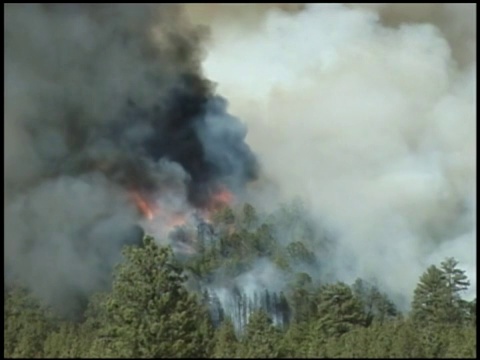 森林大火产生了一团浓密的黑烟。视频素材