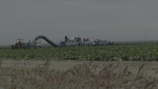 夫勒斯诺市农业视频素材