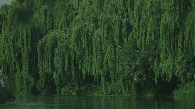 两名年轻女子划过英国剑桥市的一个角落，翠绿的垂柳点缀着平静的剑河的两岸。视频素材