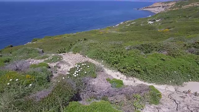 葡萄牙的自然海岸线视频素材