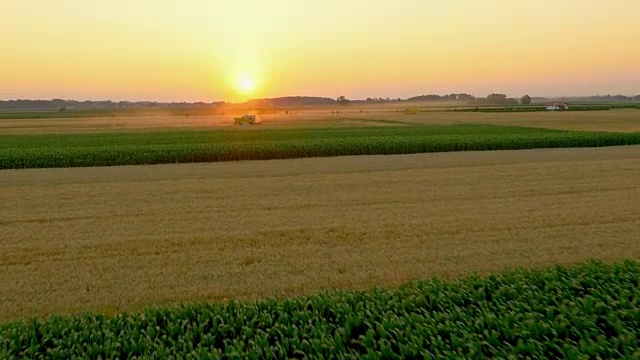 空中联合收割机在日落时收割小麦视频素材