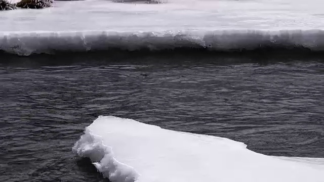 河流在寒冷的零度处流动视频素材