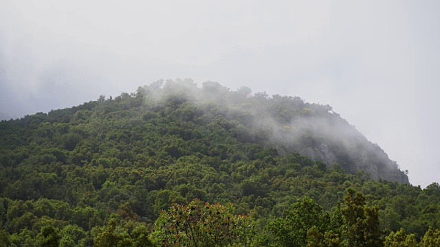 时光流逝，山上的云视频下载