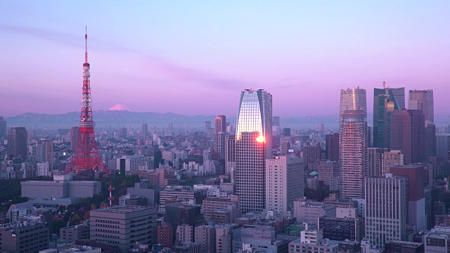 日本，东京，俯瞰城市天际线和标志性的东京塔视频素材