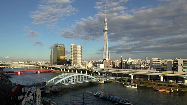 日本，东京，城市天际线和住田河上的天空树在黎明视频素材