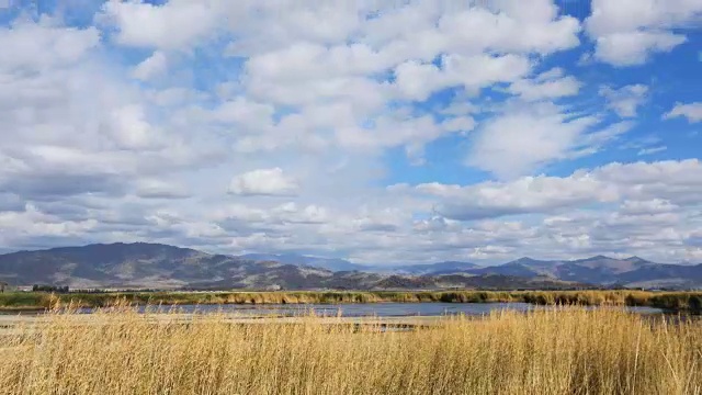 新疆的秋景视频素材