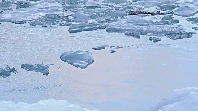 摇摄:冰山漂浮在冰岛Vatnajokull冰川的Jokulsarlon泻湖视频素材