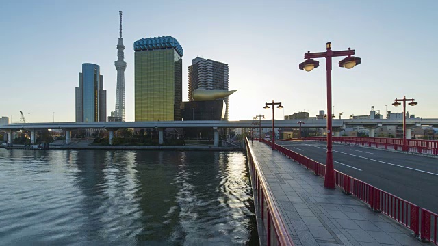 日本，东京，城市天际线和住田河上的天空树在黎明视频素材