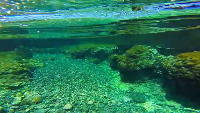 盖伊从个人的角度记录了在加那利群岛旅游度假期间在特内里费岛美丽清澈的水域游泳的温暖和阳光的日子。视频素材