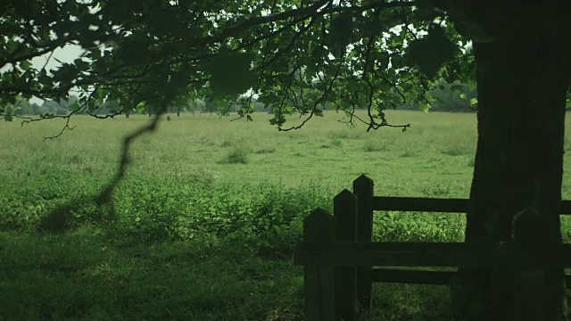 手持宽镜头，一个不明身份的人走过斯陶尔桥Common在剑桥，英国。视频素材