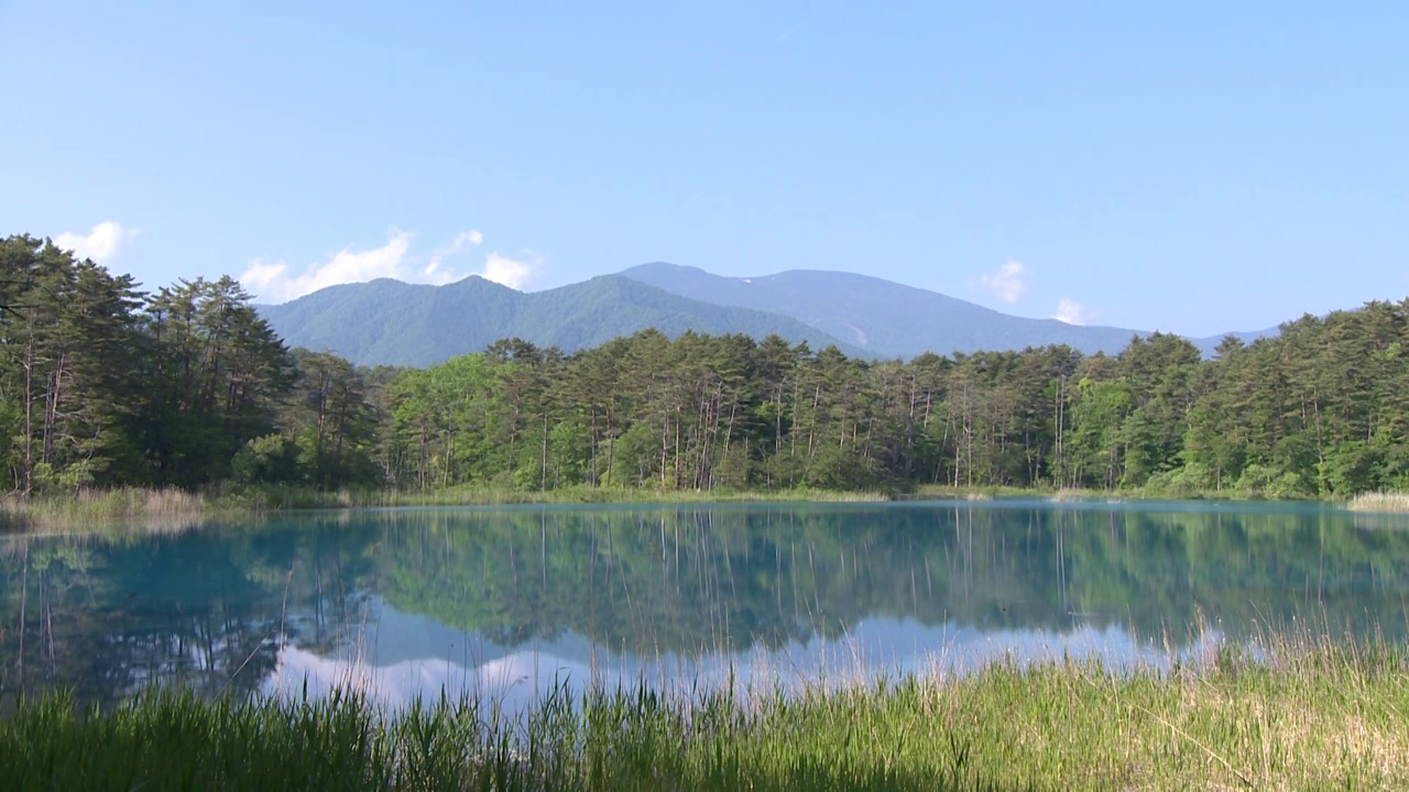 Goshikinuma, Kitashiobara，福岛，日本视频素材