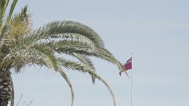 百慕大国旗在汉密尔顿港迎风飘扬视频素材