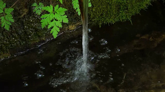 有苔藓和树叶的小井视频素材