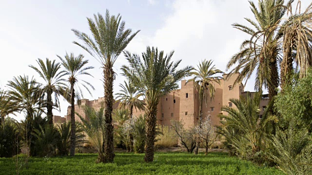 Tamnougalt kasbah，北非摩洛哥视频素材