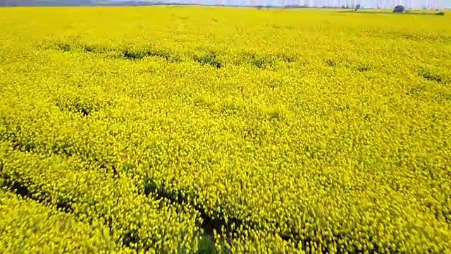 农村空中视频素材